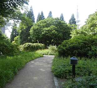 Parkanlage Planten un Blomen