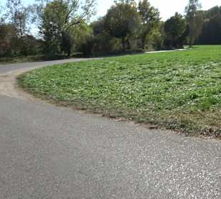 Parkanlage Brühlweg Riedlingen