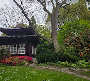 Teehaus im japanischen Garten Leverkusen