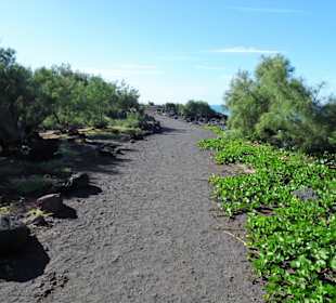 Auf dem Wanderweg Sentier Littoral