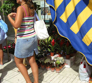 Buntes Markttreiben auf Gran Canaria