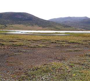 Cotopaxi Nationalpark