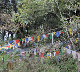 Kloster Yiga Choeling / Ghum