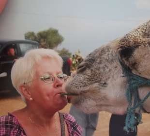  Monastir-     Mój przyjaciel wielbłąd...