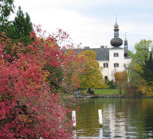Herbststimmung am Traunsee