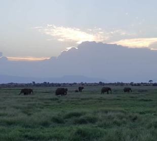 Blick von der Ashnil Lodge aus