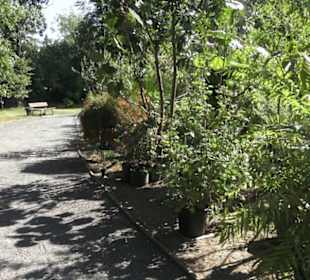 Botanischer Garten