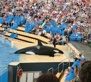 Loro Parque Orkashow