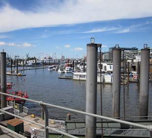 Impressionen vom Hafen 