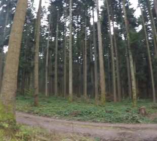 Wanderstrecke Panoramaweg D1