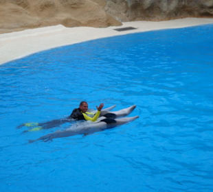 Shows und Unterhaltung