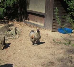 Vogelpark Graben-Neudorf