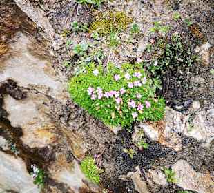 Wandern Heiligenblut