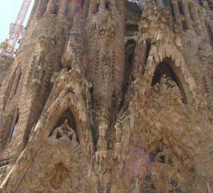 Katedra Sagrada Famila