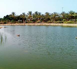 Parque del Sur in Maspalomas