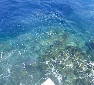 Glasklares Wasser - tolles Riff