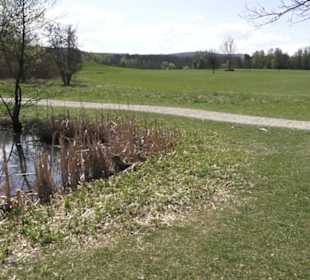 Sport- und Freizeitpark Markwasen