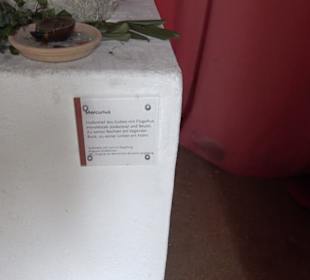 Gallorömischer Tempelbezirk