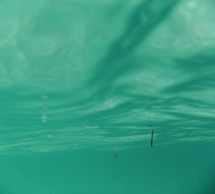 Schnorchelausrüstung darf Zuhause bleiben