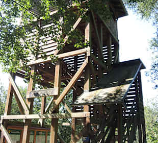 Aussichtsturm Moorochse