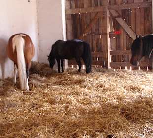 Karls - Impressionen