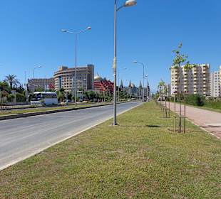 Blick auf die Straße
