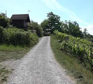 Früchtetrauf - Wurmlinger Kapellenwegle