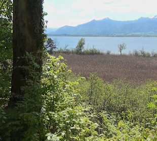 Rundwanderweg - Ottos Ruh