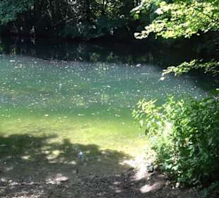Wiesaztal Gönningen