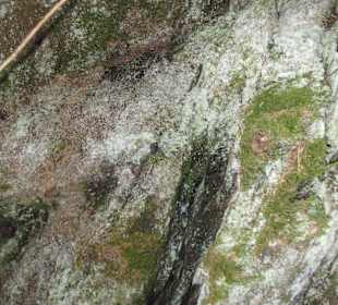 Parcul Natural Apuseni