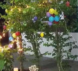 Einladender Eingang  03/2016