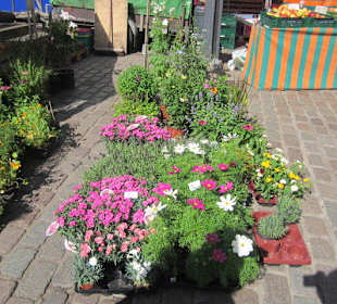 Markt Landau in der Pfalz