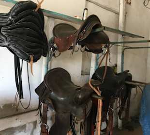 Wer fertigt die coolsten Sättel?