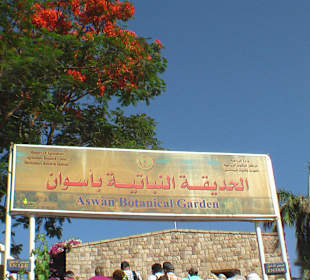 Botanischer Garten Assuan