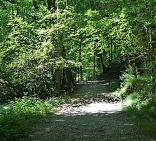 Wanderung durch den Ponlachgraben