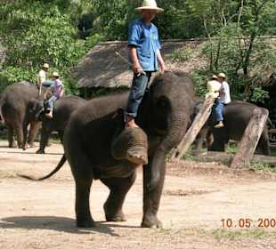 Sportlich, sportlich!