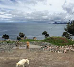 Jezioro Titicaca, Peru