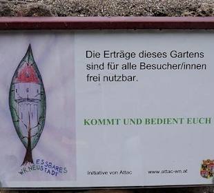 Schild vor dem kleinen Nutzgarten