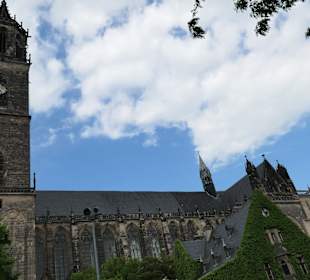 Bei einer Besichtigungstour durch Magdeburg