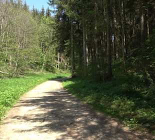 Premiumwanderweg Hochgehschätzt