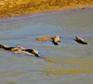 Crocodil point, Tsavo River
