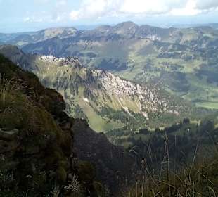Diedamskopf