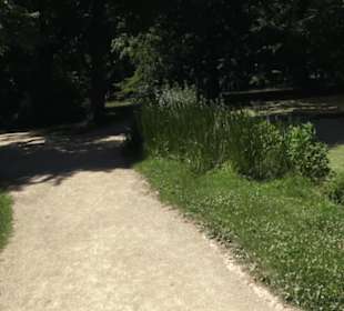 Englischer Garten
