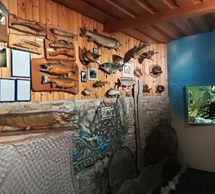 Alpen Wildpark Feld am See