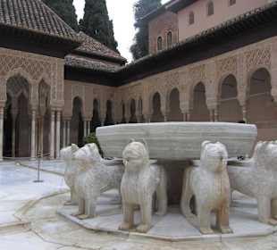 Patio de los Leones