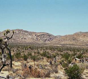 Joshua Tree National Park
