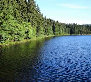 Eindrücke vom Rundgang um den Fichtelsee