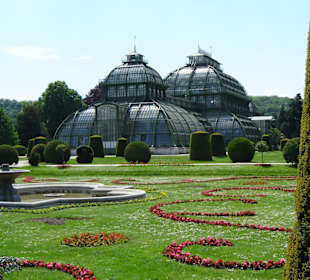 Palmenhaus