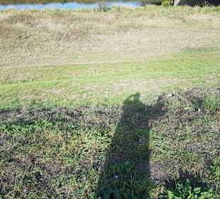 Deiche ca. 10 m hoch