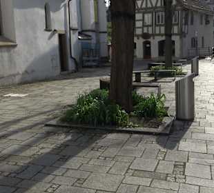 Stadtrundgang Blaubeuren